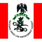 NDLEA Salary Structure and Ranks