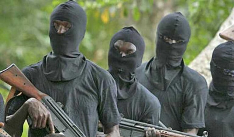 Bandits Kill 21 Military Officers in Niger Community