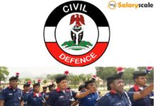 Nigeria Civil Defence Salary Structure and their Rank Nigeria Civil Defence Salary