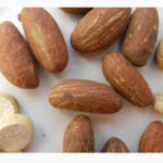 4 Major Side Effects Of Bitter Kola ,