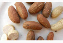 Grind 7 Bitter Kola and Moringa leaves, Take To Cure These Diseases 4 Major Side Effects Of Bitter Kola ,