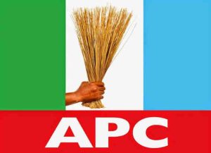 APC Suspends Senator Binani’s Campaign DG Two Weeks To Adamawa Rerun Governorship Election 
