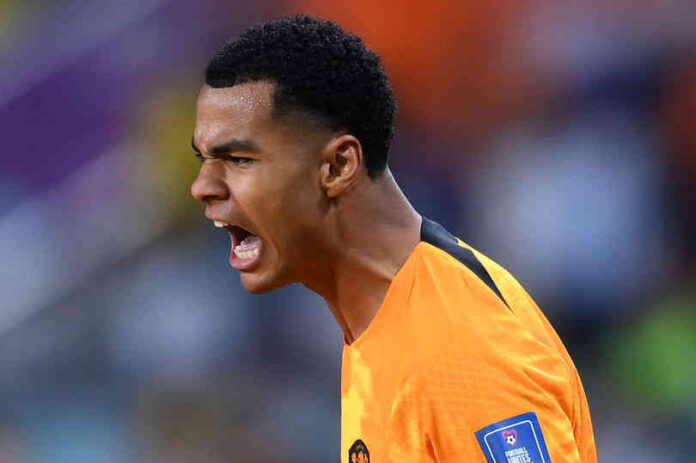 Cody Gakpo Cody Gakpo