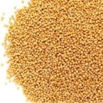 20 Health Benefits of Mustard Seeds to Human