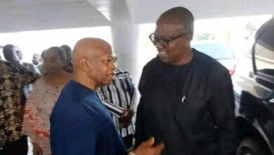 Peter Obi Biography, Net Worth, Age , Wife, Children and Amazing Things about him