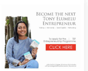 Tony Elumelu Foundation Grant Application 2022 – www.tefconnect.com