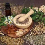Nigerian herbs that boost fertility – Top Yoruba Herbs For Fertility