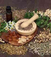 Nigerian herbs that boost fertility – Top Yoruba Herbs For Fertility