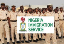 How To Apply For NIS Recruitment: Everything You Need To Know Nigeria Immigration Recruitment