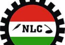 NLC Debunks News of Nationwide Strike, Gives New update NLC Commences Nationwide Indefinite Strike