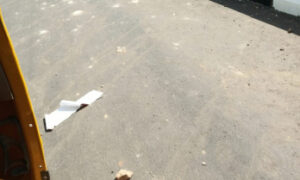 Hoodlums cause uproar as Buhari commissions projects in Katsina