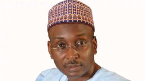 14 serving govs, 3 ex-senators, others working against Tinubu – APC National Vice Chairman Says