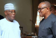 Atiku, Peter Obi Break Silence on 2027 Presidential Ambitions Following Adamawa Meeting