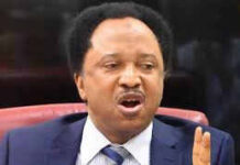 Shehu Sani urges senators not to confirm El-Rufai