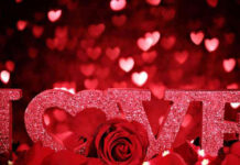 Valentine’s Day, Meaning, History and all you need to know Now Valentine's day Message