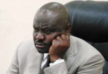 Fulani herdsmen defy Wike, grazing cows few meters away from Aso Villa (photo)