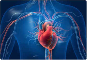 5 Signs Your Heart Is Unhealthy