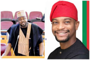 Olumide Oworu: 7 Things You Should Know About LP Candidate Planning To Unseat Desmond Elliot