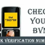 How to check BVN details online