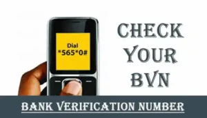How to check BVN details online, MTN, Airtel, Glo