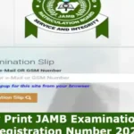 JAMB Examination slip: How to easily print UTME exam slip with registration number 2023