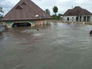 19 states, 56 communities may experience flooding in August – NEMA