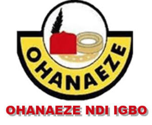 Lagos demolition: Ohanaeze Ndigbo Urges Igbos to Relocate Investments to Southeast