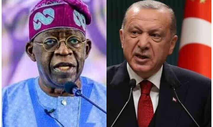 Turkish President congratulates Bola Tinubu