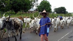 NASS members must remain vigilant, reject grazing reserve bill – Ortom