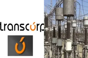 BREAKING: FG approves Transcorp acquisition of Abuja DisCo