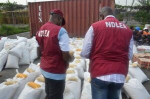 NDLEA Detains Two Wanted Drug Barons, Seizes $4.8M Counterfeit Currency