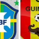 Brazil vs Guinea