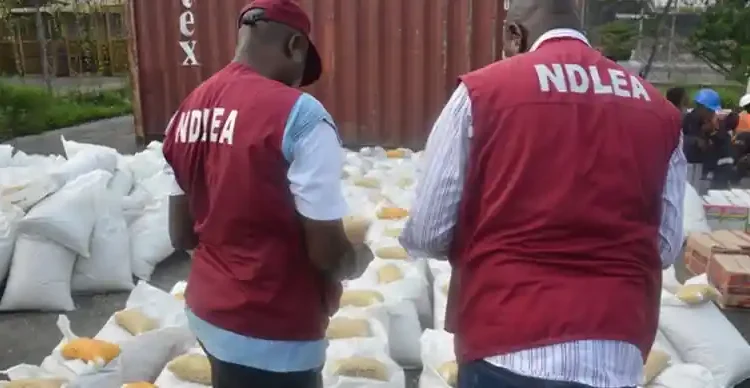 Two popular drug lords from Qatar were arrested at the Lagos airport