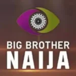 BBNaija Voting website