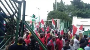 Breaking: Protesters pull down NASS gate, take over premises