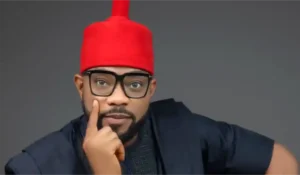 Those Who Assulted Ajaero Are Trying To Undermine President Tinubu- Ugochinyere