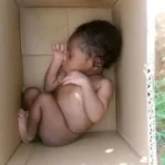 Newborn Baby Found Abandoned in a Carton, Receives Care