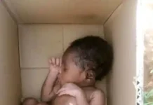 Newborn Baby Found Abandoned in a Carton – Naija Gist Newborn Baby Found Abandoned in a Carton, Receives Care