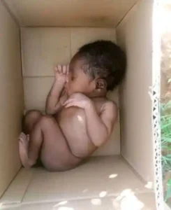 Newborn Baby Found Abandoned in a Carton – Naija Gist