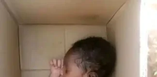 Newborn Baby Found Abandoned in a Carton – Naija Gist Newborn Baby Found Abandoned in a Carton, Receives Care