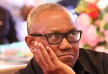 It’s Our Turn, He’s a Yoruba Man”: Peter Obi Under Fire for Making Controversial Comment