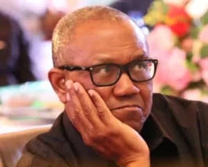 You Can’t Win 2027 Presidential Election Without Obidients  Sam Amadi Warns Peter Obi