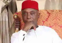 Ned Nwoko: I can’t marry a woman who’s not virgin Senator Ned Nwoko image