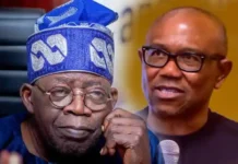 BREAKING: Peter Obi Shuns Northern Nigeria Outcry, Endorses Tinubu’s Tax Reform Bill President Bola Tinubu and Peter Obi