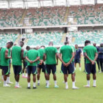 super eagles