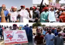 Tension High as Fresh protesters rock Kano over Appeal Court judgment Tension High as Fresh protesters rock Kano over Appeal Court judgment