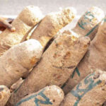 The Health Benefits of Yam: A Nutrient-Rich Tubular Delight