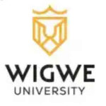 Wigwe university