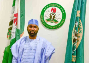Why National Assembly inflated 2024 Budget —  Bichi