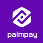 How to Borrow Money from Palmpay